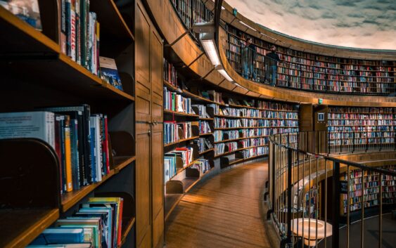 brown wooden book shelves with books